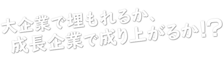 大手企業で埋もれるか、成長企業で成り上がるか？